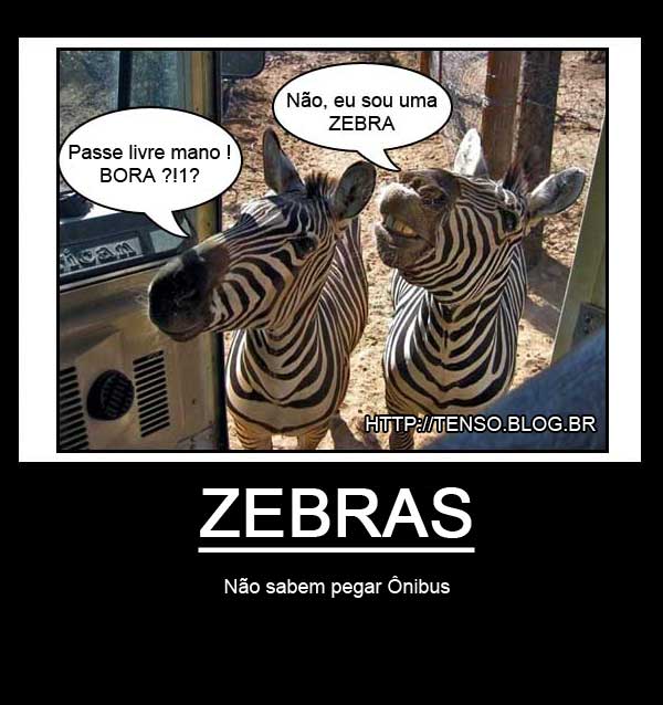 motivacional_zebra