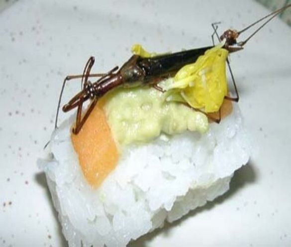 sushi_05