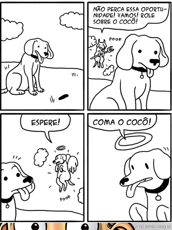 dilema-canino